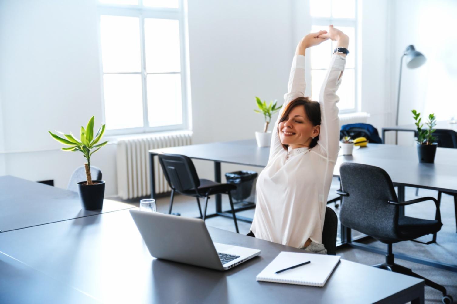 Mobile optimization workspace